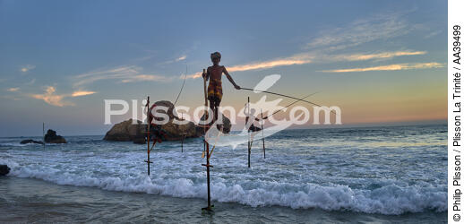 Pêcheurs sur échasse au Sri Lanka - © Philip Plisson / Plisson La Trinité / AA39499 - Nos reportages photos - Personnage