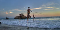© Philip Plisson / Plisson La Trinité / AA39499 Pêcheurs sur échasse au Sri Lanka - Nos reportages photos - Pays étranger