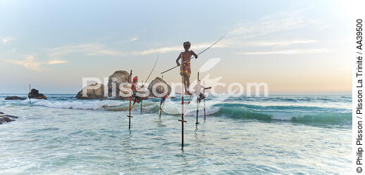 Pêcheurs sur échasse au Sri Lanka - © Philip Plisson / Plisson La Trinité / AA39500 - Nos reportages photos - Pêche