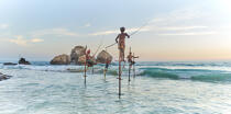 © Philip Plisson / Plisson La Trinité / AA39500 Pêcheurs sur échasse au Sri Lanka - Nos reportages photos - Pêche