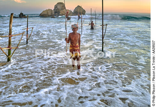 Pêcheurs sur échasse au Sri Lanka - © Philip Plisson / Plisson La Trinité / AA39507 - Nos reportages photos - Pêcheur
