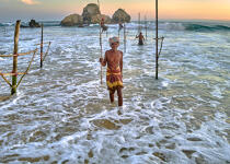 © Philip Plisson / Plisson La Trinité / AA39507 Pêcheurs sur échasse au Sri Lanka - Nos reportages photos - Pêche