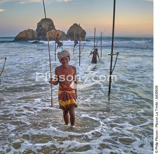 Pêcheurs sur échasse au Sri Lanka - © Philip Plisson / Plisson La Trinité / AA39509 - Nos reportages photos - Pêche