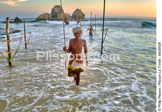 Pêcheurs sur échasse au Sri Lanka - © Philip Plisson / Plisson La Trinité / AA39508 - Nos reportages photos - Pêche