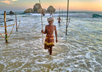© Philip Plisson / Pêcheur d’Images / AA39508 Fishermen on a stick in Sri Lanka - Photo Galleries - People