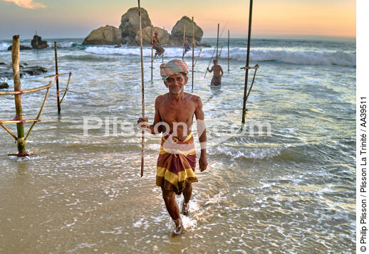 Pêcheurs sur échasse au Sri Lanka - © Philip Plisson / Plisson La Trinité / AA39511 - Nos reportages photos - Pays étranger