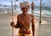 © Philip Plisson / Pêcheur d’Images / AA39513 Fishermen on a stick in Sri Lanka - Photo Galleries - People