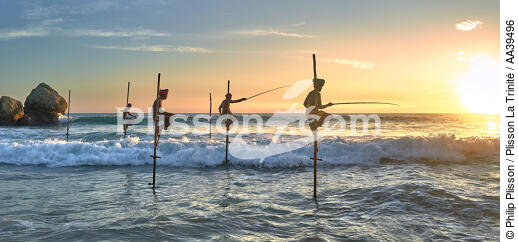 Pêcheurs sur échasse au Sri Lanka - © Philip Plisson / Plisson La Trinité / AA39496 - Nos reportages photos - Métier