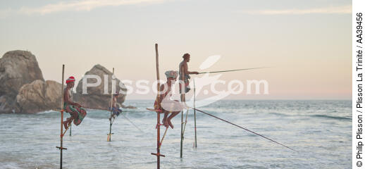 Pêcheurs sur échasse au Sri Lanka - © Philip Plisson / Plisson La Trinité / AA39456 - Nos reportages photos - Pays étranger