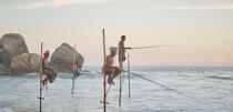 © Philip Plisson / Plisson La Trinité / AA39456 Fishermen on a stick in Sri Lanka - Photo Galleries - Job