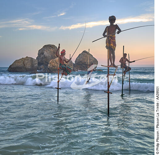 Fishermen on a stick in Sri Lanka - © Philip Plisson / Pêcheur d’Images / AA39501 - Photo Galleries - Square format