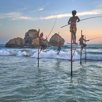 © Philip Plisson / Plisson La Trinité / AA39501 Fishermen on a stick in Sri Lanka - Photo Galleries - Fisherman