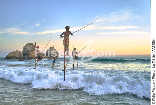 Pêcheurs sur échasse au Sri Lanka - © Philip Plisson / Plisson La Trinité / AA39504 - Nos reportages photos - Activité maritime