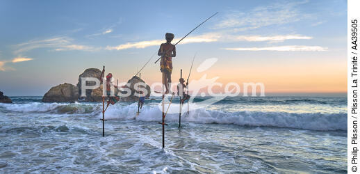 Pêcheurs sur échasse au Sri Lanka - © Philip Plisson / Plisson La Trinité / AA39505 - Nos reportages photos - Pêcheur