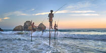 © Philip Plisson / Plisson La Trinité / AA39505 Pêcheurs sur échasse au Sri Lanka - Nos reportages photos - Couleur