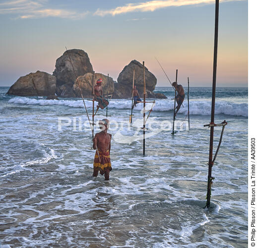 Fishermen on a stick in Sri Lanka - © Philip Plisson / Pêcheur d’Images / AA39503 - Photo Galleries - Square format