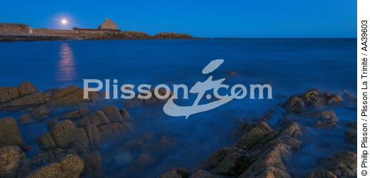 La Pointe de Kerbihan à la Trinité-sur-Mer - © Philip Plisson / Plisson La Trinité / AA39603 - Nos reportages photos - 16/9 horizontal
