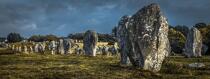 © Philip Plisson / Plisson La Trinité / AA39616 The alignments of Carnac - Photo Galleries - Standing stone