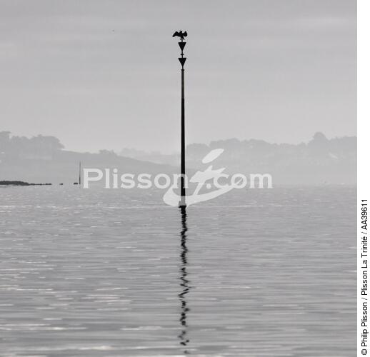 Cardinale sud dans le Golfe du Morbihan - © Philip Plisson / Plisson La Trinité / AA39611 - Nos reportages photos - Bretagne