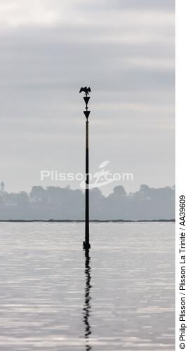 Cardinale sud dans le Golfe du Morbihan - © Philip Plisson / Plisson La Trinité / AA39609 - Nos reportages photos - Brume