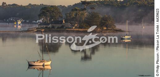 Cuhan island on Crac'h river - © Philip Plisson / Plisson La Trinité / AA39623 - Photo Galleries - Town [56]