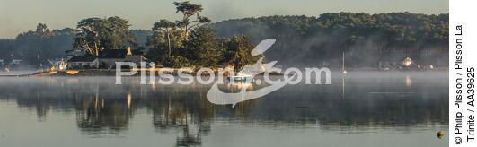 L'île de Cuhan sur la rivière de Crac'h - © Philip Plisson / Plisson La Trinité / AA39625 - Nos reportages photos - Panoramique horizontal