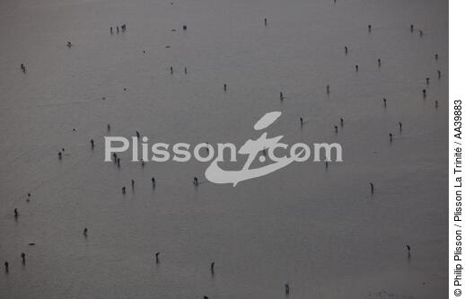 Walk fishing in Brittany - © Philip Plisson / Plisson La Trinité / AA39883 - Photo Galleries - Brittany