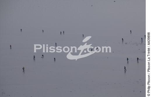 Pêche à pieds en Bretagne - © Philip Plisson / Plisson La Trinité / AA39898 - Nos reportages photos - Vue aérienne