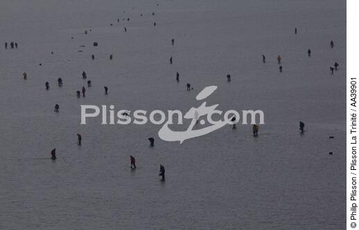 Pêche à pieds en Bretagne - © Philip Plisson / Plisson La Trinité / AA39901 - Nos reportages photos - Activité maritime