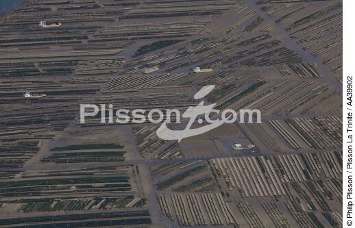 Oyster Parks in Mont-Saint-Michel Bay - © Philip Plisson / Plisson La Trinité / AA39902 - Photo Galleries - Aerial shot
