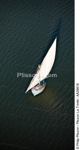 On the Burullus lake - Egypt - © Philip Plisson / Plisson La Trinité / AA39818 - Photo Galleries - Traditional sailing