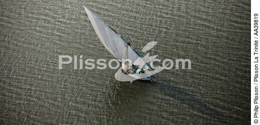 Sur le lac Burullus - Egypte - © Philip Plisson / Plisson La Trinité / AA39819 - Nos reportages photos - Voile tradition