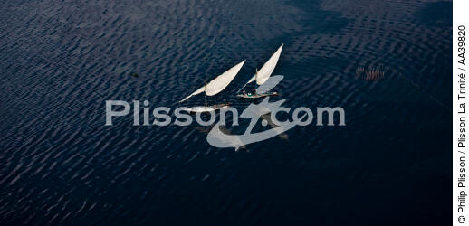 Sur le lac Burullus - Egypte - © Philip Plisson / Plisson La Trinité / AA39820 - Nos reportages photos - Vue aérienne