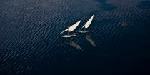 Sur le lac Burullus - Egypte © Philip Plisson / Plisson La Trinité / AA39820 - Nos reportages photos - Vue aérienne