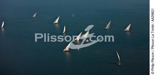 On the Burullus lake - Egypt - © Philip Plisson / Plisson La Trinité / AA39821 - Photo Galleries - Aerial shot