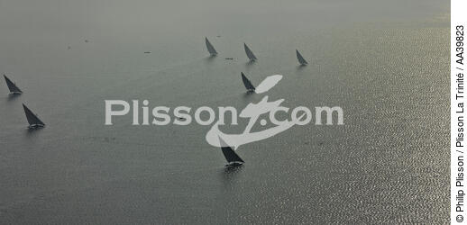 On the Burullus lake - Egypt - © Philip Plisson / Plisson La Trinité / AA39823 - Photo Galleries - Aerial shot