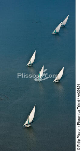 Sur le lac Burullus - Egypte - © Philip Plisson / Plisson La Trinité / AA39824 - Nos reportages photos - Voilier