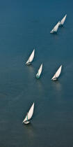 On the Burullus lake - Egypt © Philip Plisson / Pêcheur d’Images / AA39824 - Photo Galleries - Aerial shot