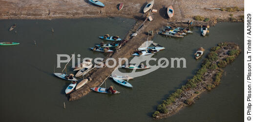 On the Burullus lake - Egypt - © Philip Plisson / Plisson La Trinité / AA39829 - Photo Galleries - Aerial shot
