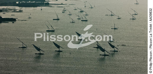 On the Nile Delta - © Philip Plisson / Plisson La Trinité / AA39832 - Photo Galleries - Color