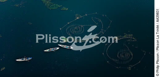 On the Manzala lake - Egypt - © Philip Plisson / Plisson La Trinité / AA39831 - Photo Galleries - Aerial shot