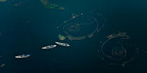Sur le lac Manzala - Egypte © Philip Plisson / Plisson La Trinité / AA39831 - Nos reportages photos - Vue aérienne