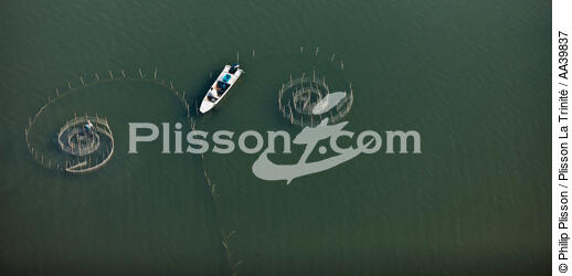 On the Manzala lake - Egypt - © Philip Plisson / Plisson La Trinité / AA39837 - Photo Galleries - Aerial shot