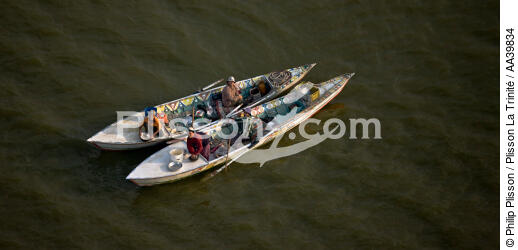 On the Manzala lake - Egypt - © Philip Plisson / Plisson La Trinité / AA39834 - Photo Galleries - Aerial shot
