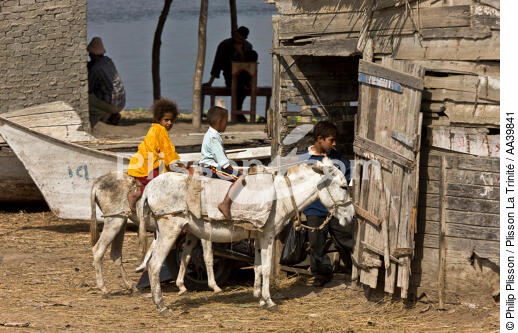 Sur le lac Burullus - Egypte - © Philip Plisson / Plisson La Trinité / AA39841 - Nos reportages photos - Mots clés