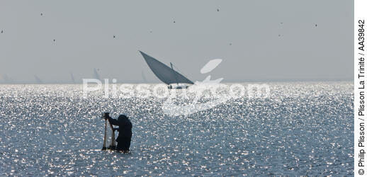 On the Burullus lake - Egypt - © Philip Plisson / Plisson La Trinité / AA39842 - Photo Galleries - 16/9 horizontal