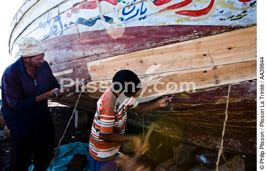 Sur le lac Burullus - Egypte - © Philip Plisson / Plisson La Trinité / AA39844 - Nos reportages photos - Auteur
