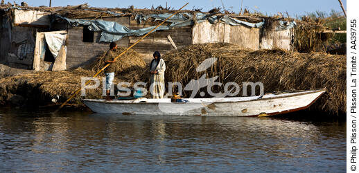 Sur le lac Manzala - Egypte - © Philip Plisson / Plisson La Trinité / AA39755 - Nos reportages photos - 16/9 horizontal
