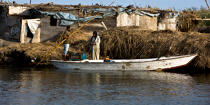 Sur le lac Manzala - Egypte © Philip Plisson / Plisson La Trinité / AA39755 - Nos reportages photos - 16/9 horizontal