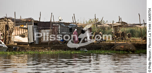 On the Manzala lake - Egypt - © Philip Plisson / Plisson La Trinité / AA39754 - Photo Galleries - Manzala lake